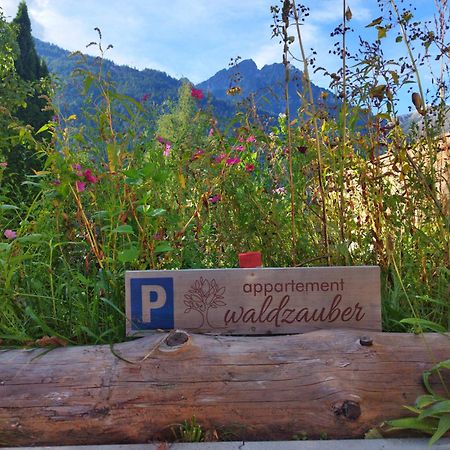 Appartement Waldzauber Medraz エクステリア 写真